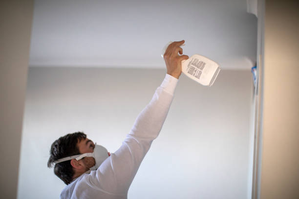 Best Mold Remediation for Specific Building Types in Lukachukai, AZ